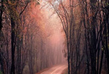 剑指金球!拉菲尼亚本赛季俱乐部+国家队47场造50球.