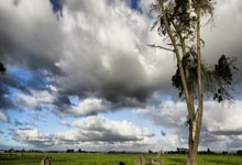 巅峰国际:龙赛罗:皇马争冠对手一直只有巴萨,马竞五天内丢掉西甲欧冠.